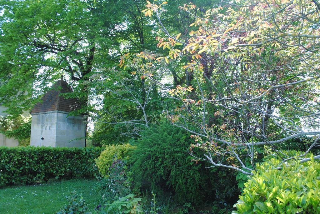 Domaine De Plisseau Panzió Gauriac Kültér fotó